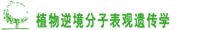 Ova